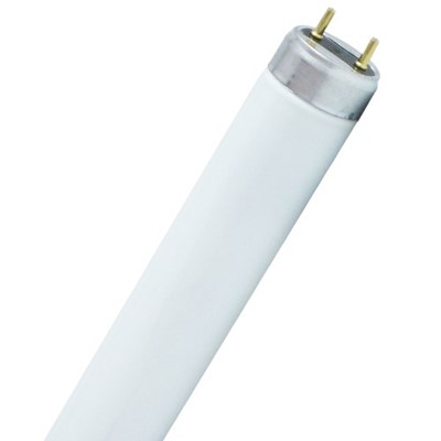 Modified | T8 Fluorescent 3ft 30w Cool White 840 Shatterproof