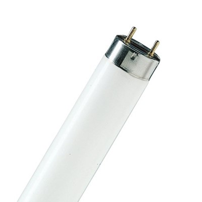 Modified | T8 Fluorescent 2ft 18w Cool White 840 Shatterproof
