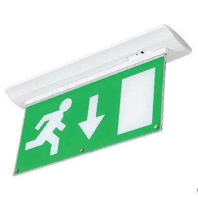 NVC | EMRAQ/LED/D | 3in1 LED Emergency Exit Blade Down Arrow - Maintained